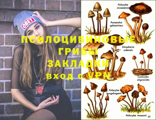 амфетамин Нефтегорск