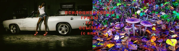 mdma Гусиноозёрск