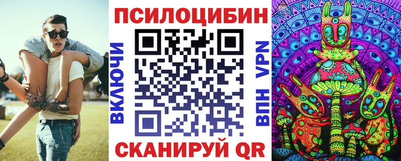 Псилоцибиновые грибы Cubensis  Кропоткин 