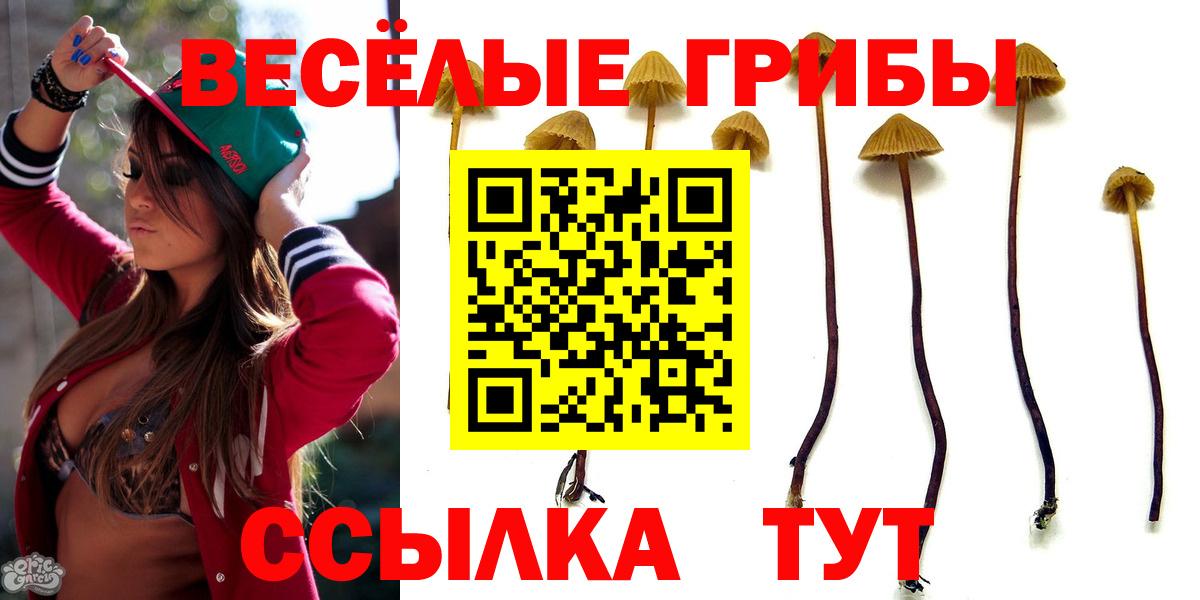 Кропоткин  Ляпка  Ешки  Меф  Марки ЛСД  A-PVP  МДМА  Вход с VPN  КОКАИН 