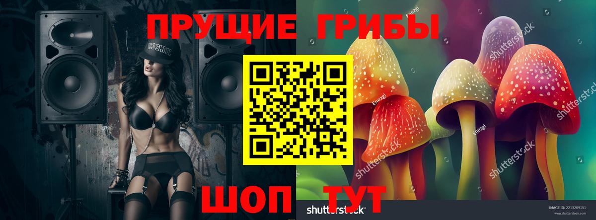 Псилоцибиновые грибы MAGIC MUSHROOMS Кропоткин